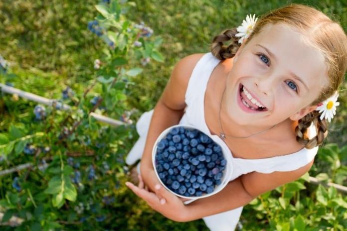 Benefits of Eating Blueberry and Side Effects