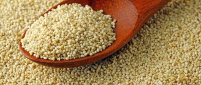 Benefits of Poppy Seeds and Disadvantages