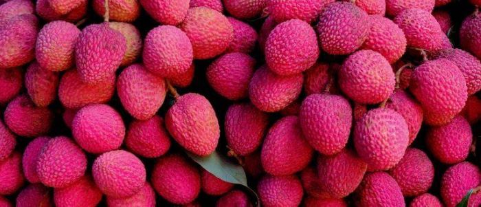 Benefits of Litchi and Disadvantages