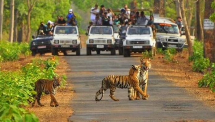 Best Wildlife Sanctuary Near Delhi