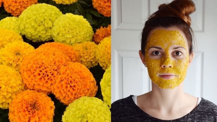 Marigold Flower Skin Benefits – Apply a Face Pack Made of Marigold Flowers