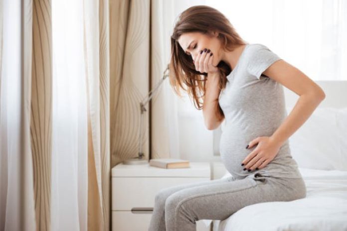 2nd Month Pregnancy Symptoms and Fetal Development