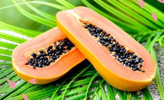Benefits of Papaya Seeds and Disadvantages