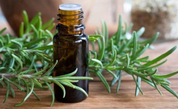 Benefits of Rosemary Oil and Side Effects
