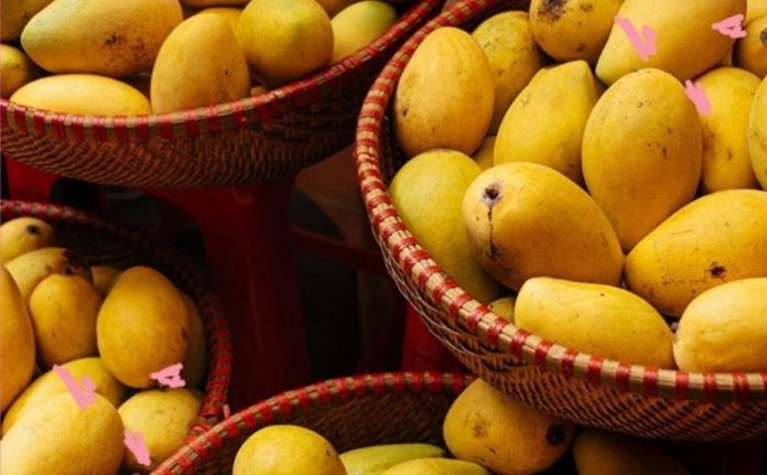 Are Your Mangoes Safe to Eat? Learn