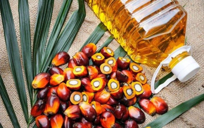 Palm Oil Benefits and Side Effects