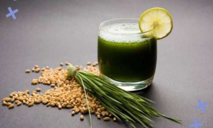Benefits of Wheatgrass and Disadvantages