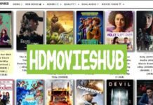 HDMoviesHub: 300MB Movies, 480p, 720p Movies Download