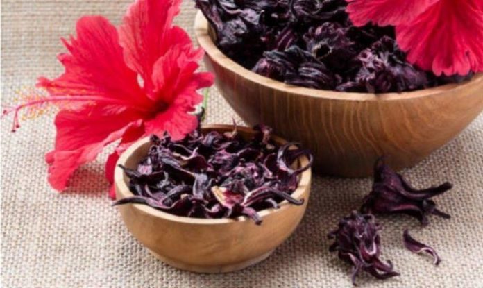 Benefits of Hibiscus Flower For Hair