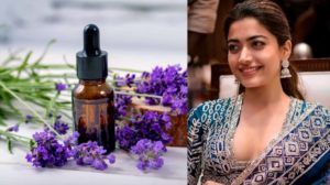 Lavender Oil Benefits – Beauty and Medicinal Benefits and Uses of Lavender Oil