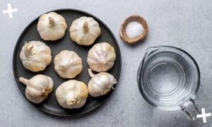 Must Try Dishes If You like Garlic