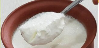 Is it Good to Eat Curd During Winter Expert Advice