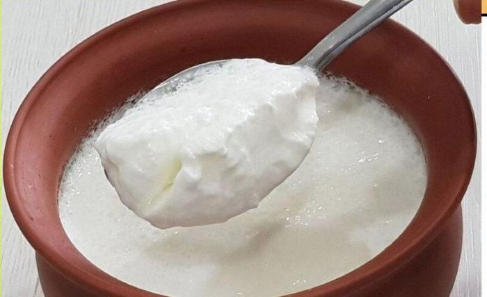 Is it Good to Eat Curd During Winter Expert Advice