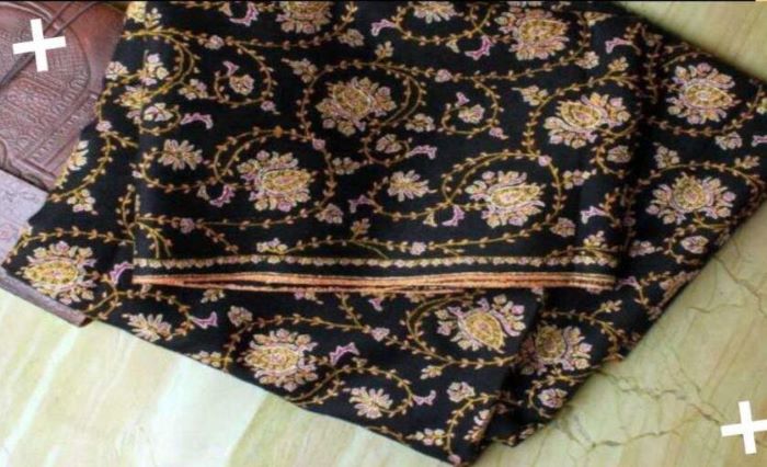 World Most Expensive Shawl But it is Banned in India, Know its Price