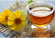 Reasons Why Should Drink Herbal Tea in Winters