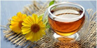 Reasons Why Should Drink Herbal Tea in Winters