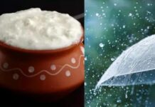 Why Should We Not Eat Curd During Monsoon
