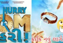Hurry Om Hurry Gujarati Movie Download 300MB, 1080p, 720p
